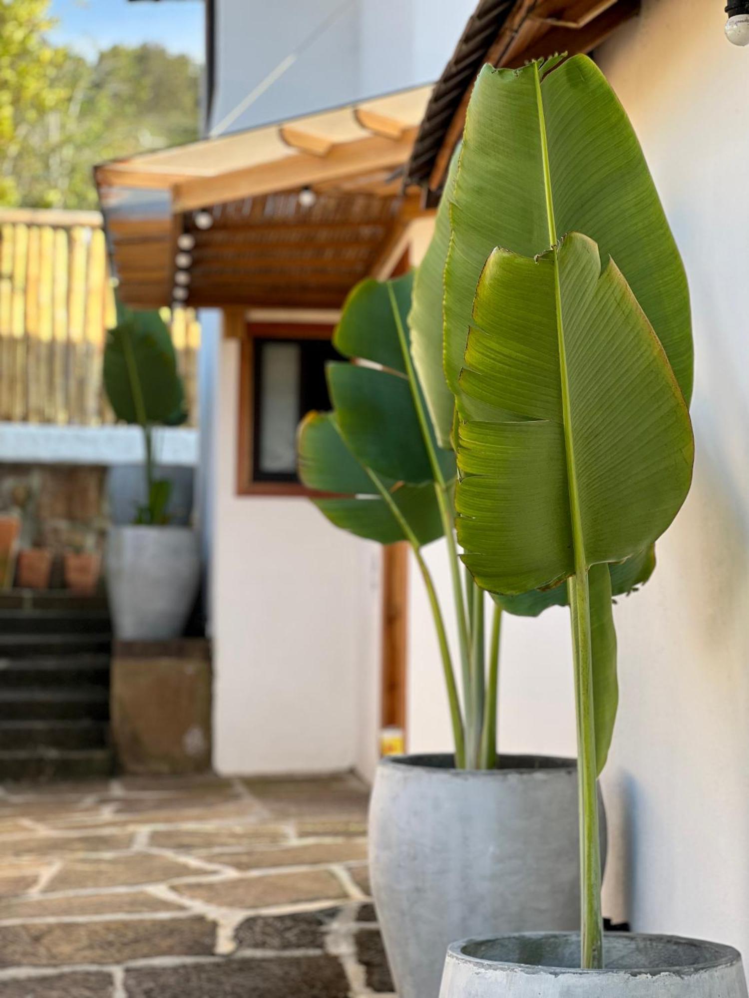 Hotel Campestre Palmas Del Zamorano San Gil Eksteriør bilde